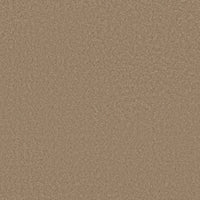 Worldwide Flooring Design Center BEWITCHED BEWITCHED Anderson Tuftex Floors