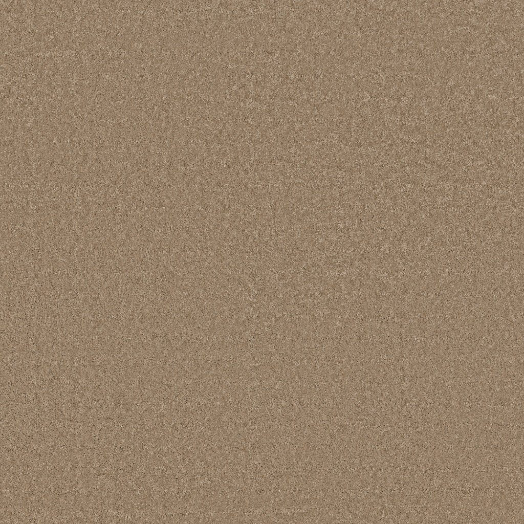 Worldwide Flooring Design Center BEWITCHED BEWITCHED Anderson Tuftex Floors