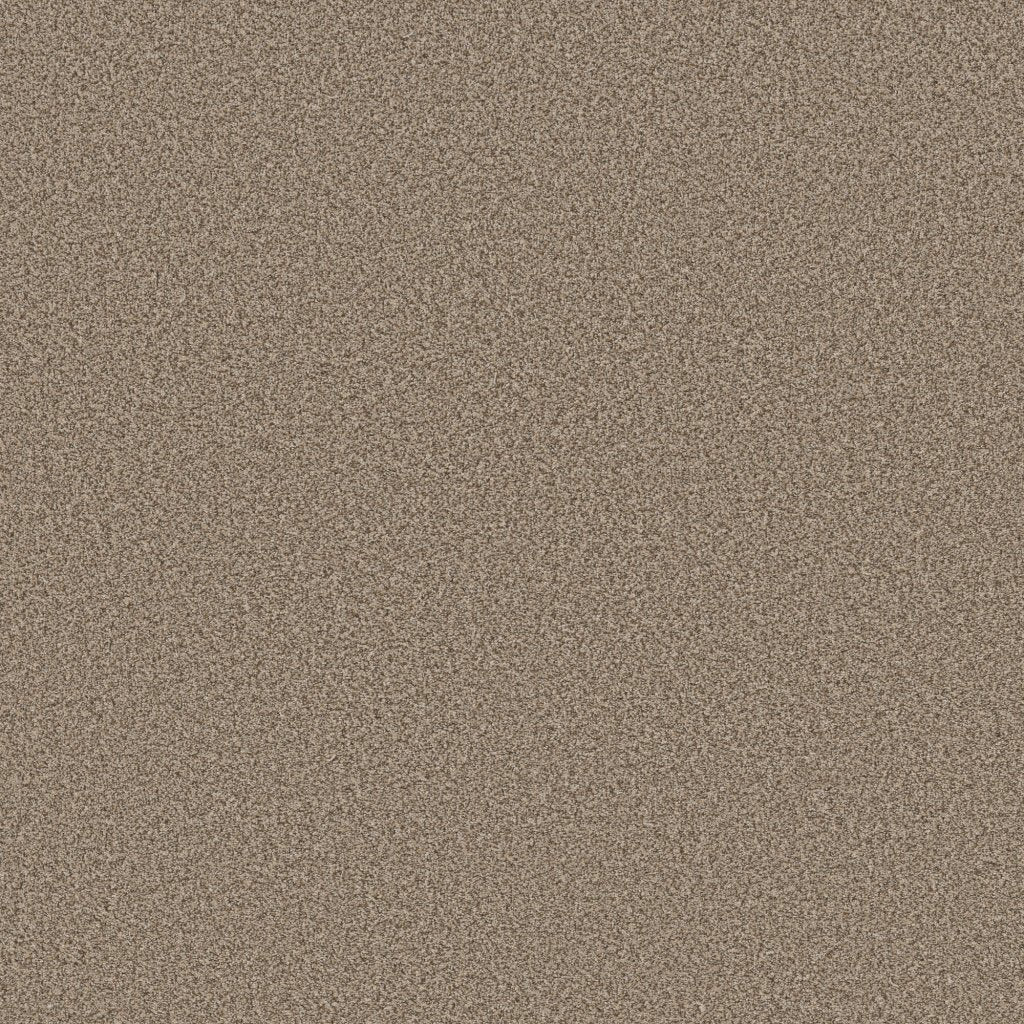 Worldwide Flooring Design Center CATALINA CATALINA Anderson Tuftex Floors