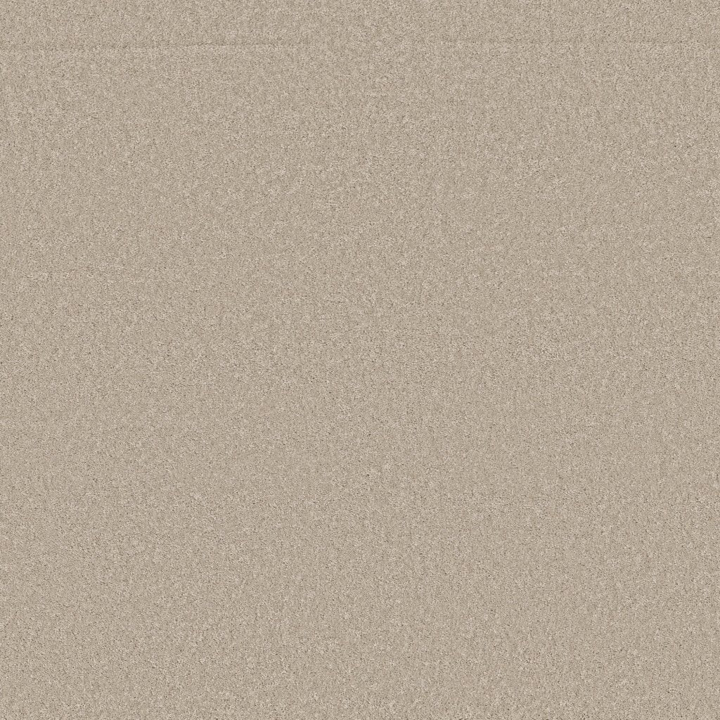 Worldwide Flooring Design Center BEWITCHED BEWITCHED Anderson Tuftex Floors