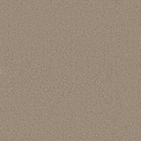 Worldwide Flooring Design Center BEWITCHED BEWITCHED Anderson Tuftex Floors
