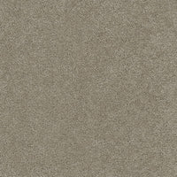 Casual Elegance Solid