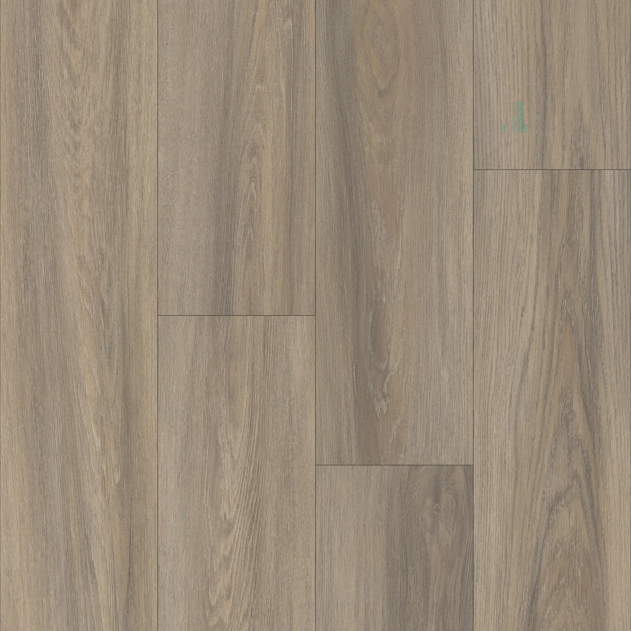 Worldwide Flooring Design Center Sequoia Sequoia Happy Feet International 