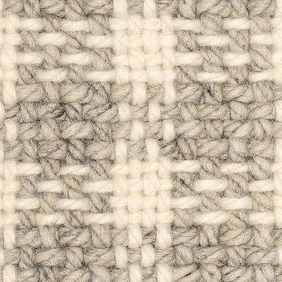 Volute