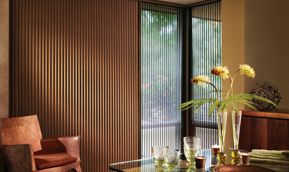 Alustra Duette Honeycomb Shades